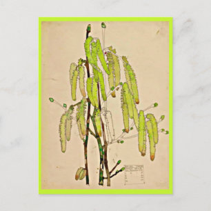 Cartão Postal Postcard-Vintage Art-Charles Rennie Mackintosh 11
