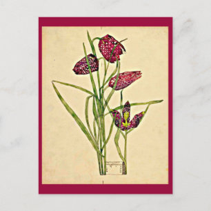 Cartão Postal Postcard-Vintage Art-Charles Rennie Mackintosh 18