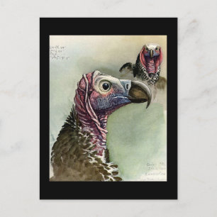 Cartão Postal Postcard-Vintage Chicago Art-Abyssinian Birds 15