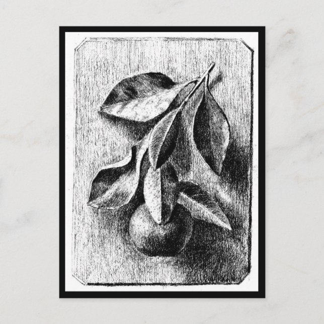 Cartão Postal Postcard-Vintage Ilustração-Beatrix Potter 8 (Frente)