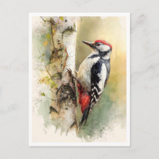 Cartão Postal Postcard. Woodpecker