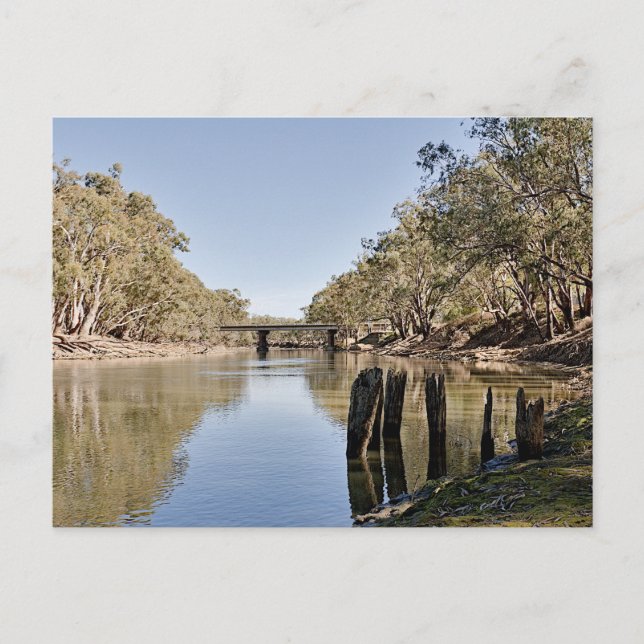 Cartão Postal Postcards (Frente)