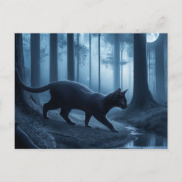 Cartão Postal Postcards Cat Série 11 10
