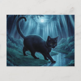 Cartão Postal Postcards Cat Série 11 11