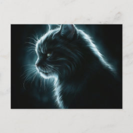 Cartão Postal Postcards Cat Série 12