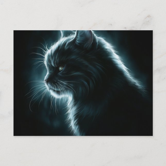 Cartão Postal Postcards Cat Série 12 (Frente)