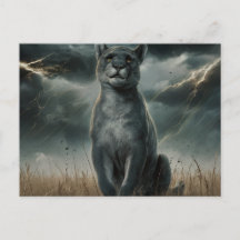 Postcards  Divers  Série 1