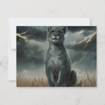 Postcards Divers Série 1