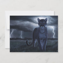 Postcards Divers Série 1 02