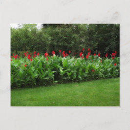 CARTÃO POSTAL POSTCARTÃO ~ PLANTAS GREENHOUSE GARDEN ABERTO