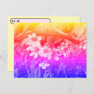 Cartão Postal Postcross 70 Vibe Wildflower com caixa de identifi