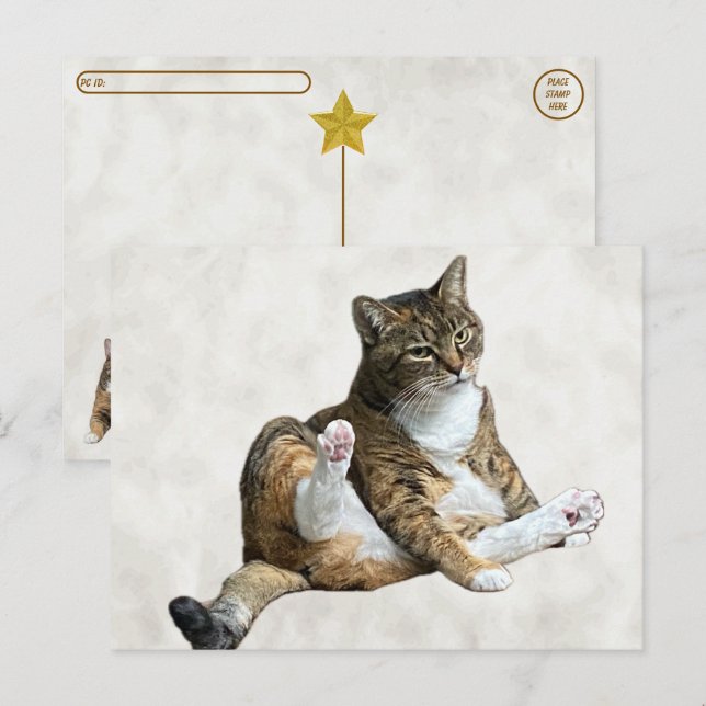 Cartão Postal Postcross - Bobo Cat Pose - Cartão-postal da Annie (Frente/Verso)
