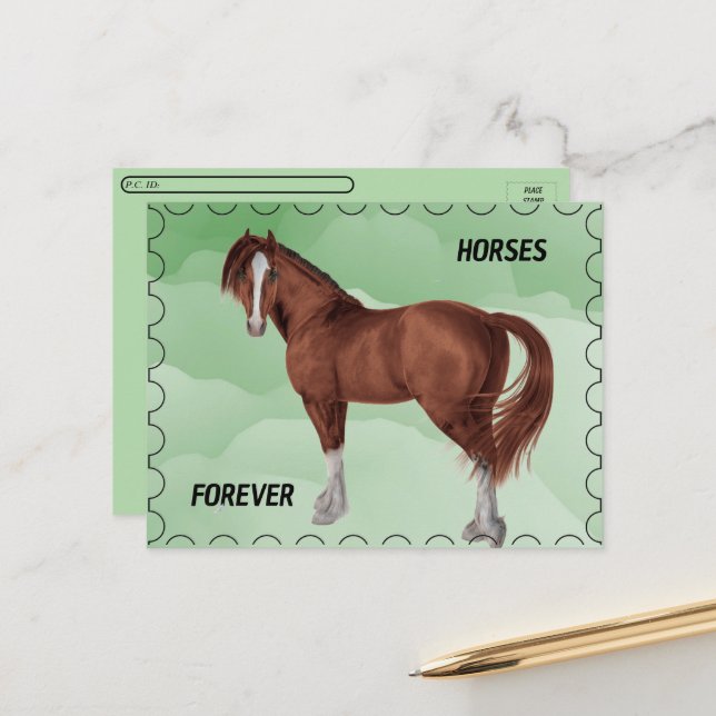 Cartão Postal Postcross - Cavalo Marrom com Postage Look (Frente/Verso In Situ)