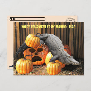 Cartão Postal Postcross - Halloween Pumpkins e Gator