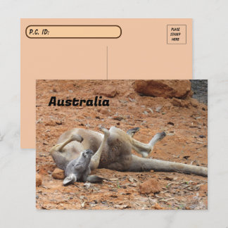 Cartão Postal Postcross Kangaroo Rolling / Tocando