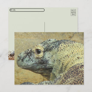 Cartão Postal Postcross - Komodo Dragon