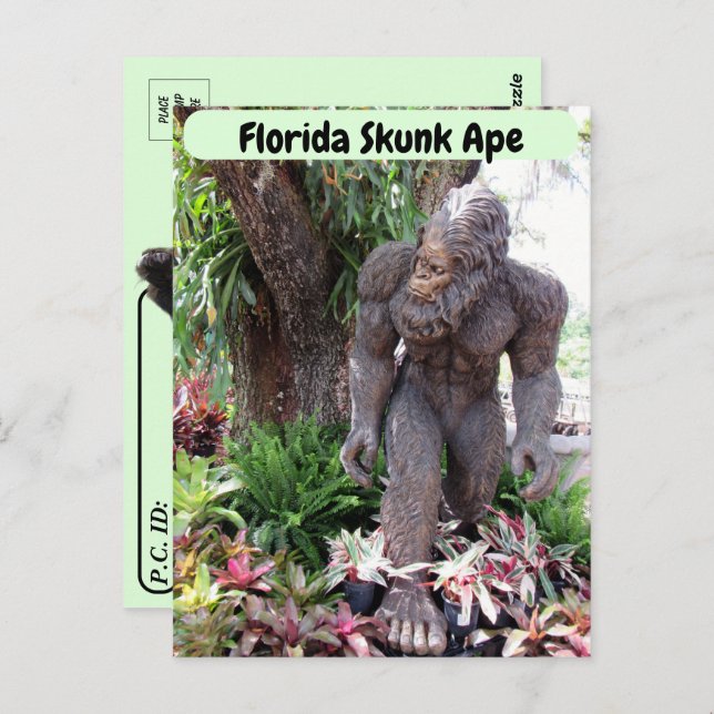 Cartão Postal Postcross - Pic do Flórida Skunk Ape (Frente/Verso)