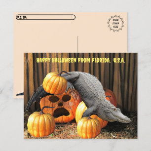 Cartão Postal Postcrossing - Abóboras de Halloween e Jacaré 