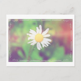 Cartão Postal Postcrossing Cottage Daisy