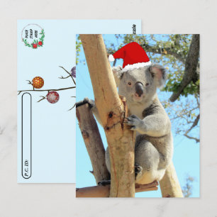 Cartão Postal Postcrossing - Natal Koala