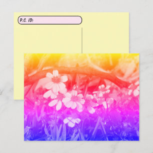 Cartão Postal Postcrossing Vibração dos Anos 70 Flores Silvestre