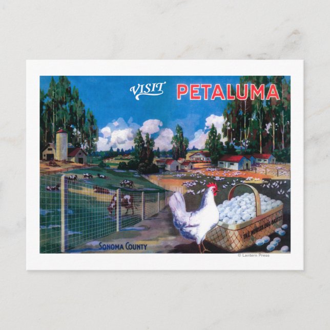 Cartão Postal Poster de cesta de ovos do mundo (Frente)