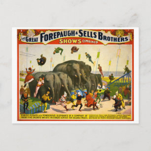 Cartão postal Poster de Circo