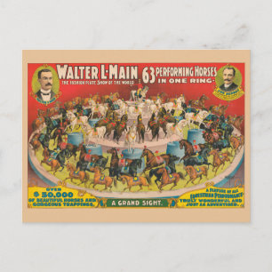 Cartão Postal Poster De Circo De 63 Cavalos Executantes Num Anel