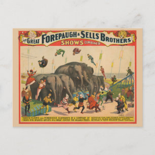 Cartão Postal Poster de Circo de Acrobatas Pulando Sobre Elefant
