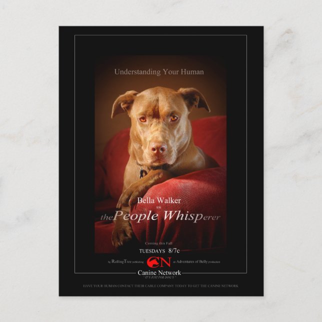 Cartão Postal Poster de Filme de Mix Dog de Pit de Chocolate (Frente)