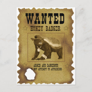 Cartão Postal Poster de Querido Badger