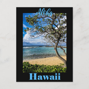 Cartão Postal Poster de viagens Aloha Hawaii