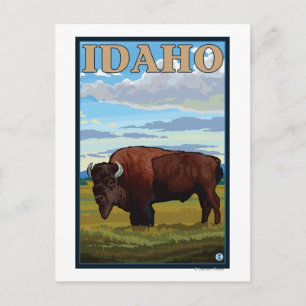 Cartão Postal Poster de viagens Bison SceneIdahoVintage