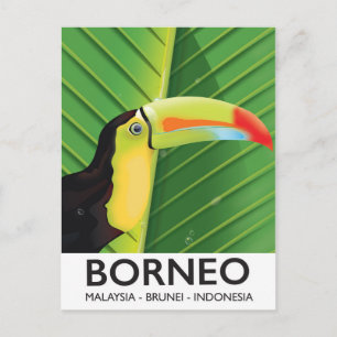 Cartão Postal Poster de viagens Borneo Toucan