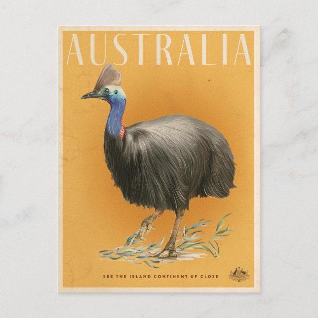 Cartão Postal Poster de viagens Cassowary Australiano Vintage (Frente)