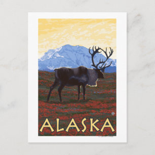 Cartão Postal Poster de Viagens vintage do AlaskaCariou