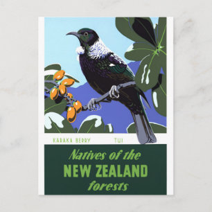 Cartão Postal Poster de Viagens vintage Nova Zelândia Restaurado