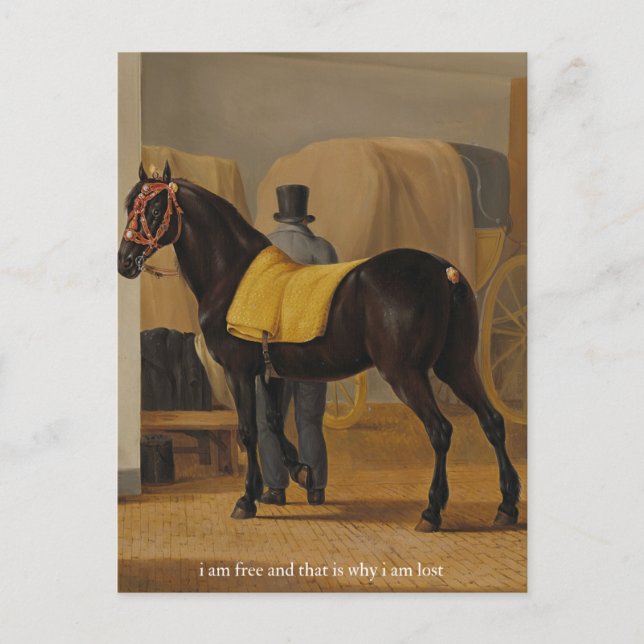 Cartão Postal poster livre e perdido (Frente)