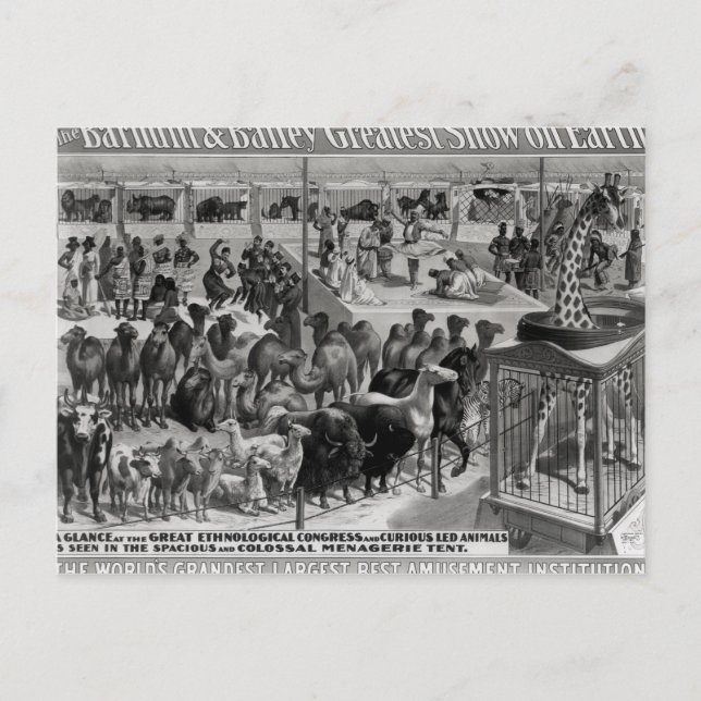 Cartão Postal Poster publicando: 'Barnum e Bailey (Frente)