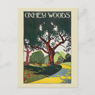 Cartão Postal Poster vintage Oxhey Woods 1915