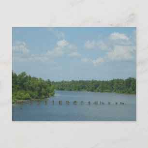 Cartão Postal Poster Wetlands