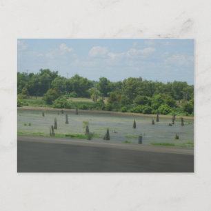 Cartão Postal Poster Wetlands