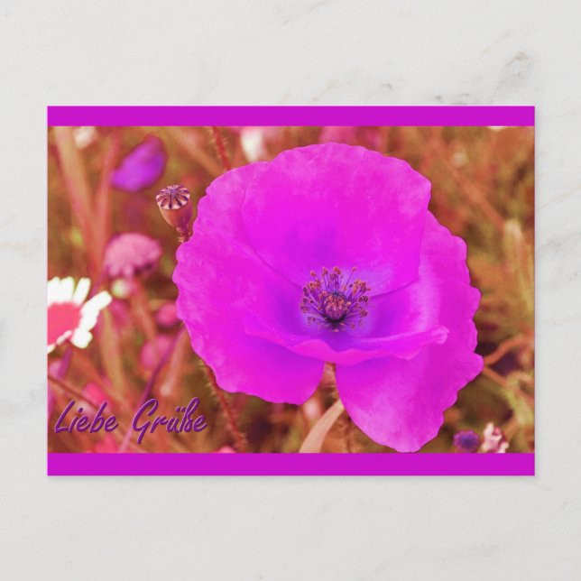 Cartão Postal Postkarte (Frente)