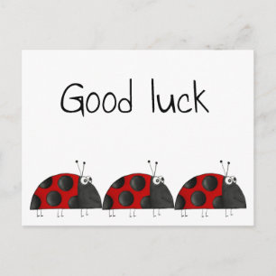 Cartão Postal Postkarte, boa sorte, Glückwunschkarte, Marienkäfe