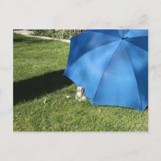 Cartão Postal Postkarte - der Osterhase zu Besuch