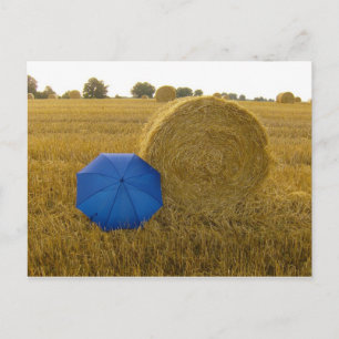 Cartão Postal Postkarte - ein ungleiches Paar