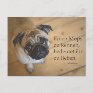 Cartão Postal Postkarte "Einen Mops zu kennen ....