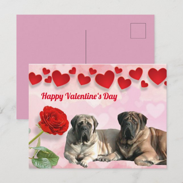 Cartão Postal Postkarte English Mastiff Valentinstags  (Frente/Verso)