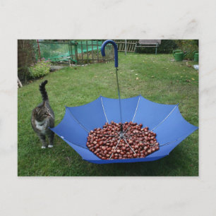 Cartão Postal Postkarte - era o Bist du Denn?