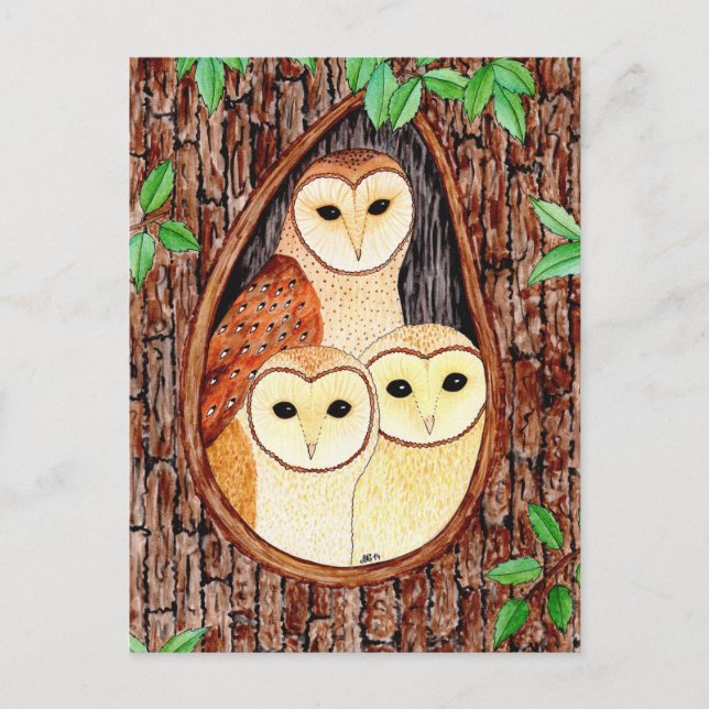 Cartão Postal Postkarte Eule (Frente)